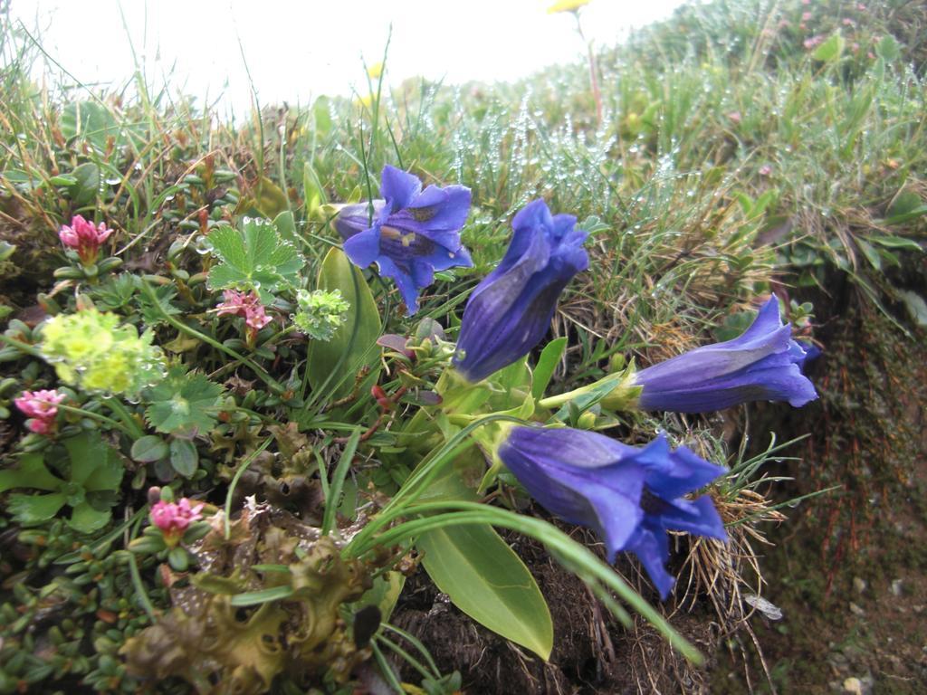 Ruhige Wohnung Mit Schoenem Eigengarten In Seeboden Am Millstaettersee Екстер'єр фото