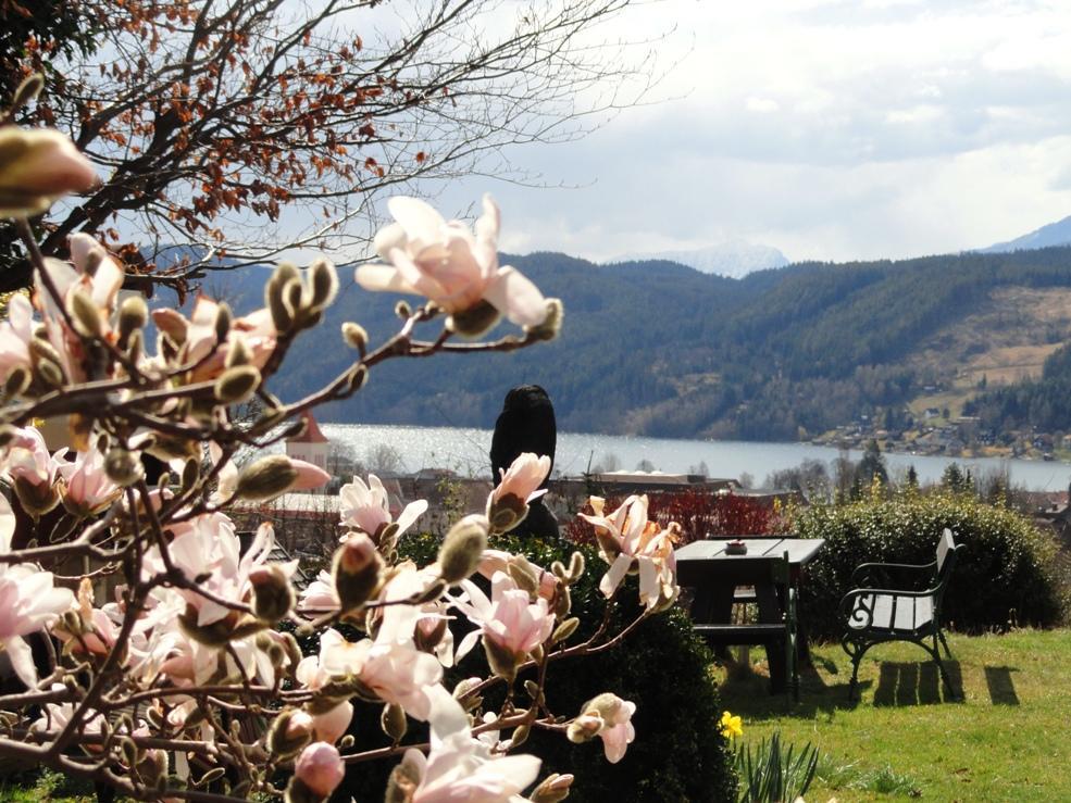 Ruhige Wohnung Mit Schoenem Eigengarten In Seeboden Am Millstaettersee Екстер'єр фото