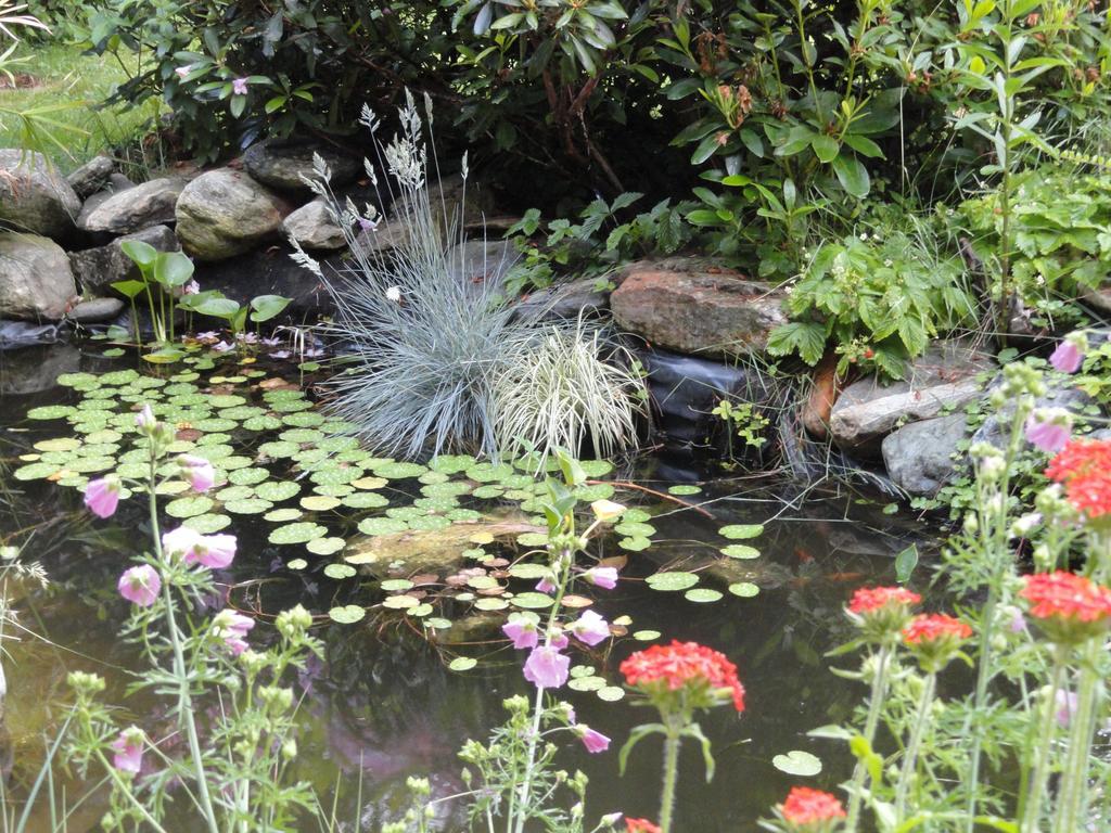 Ruhige Wohnung Mit Schoenem Eigengarten In Seeboden Am Millstaettersee Екстер'єр фото